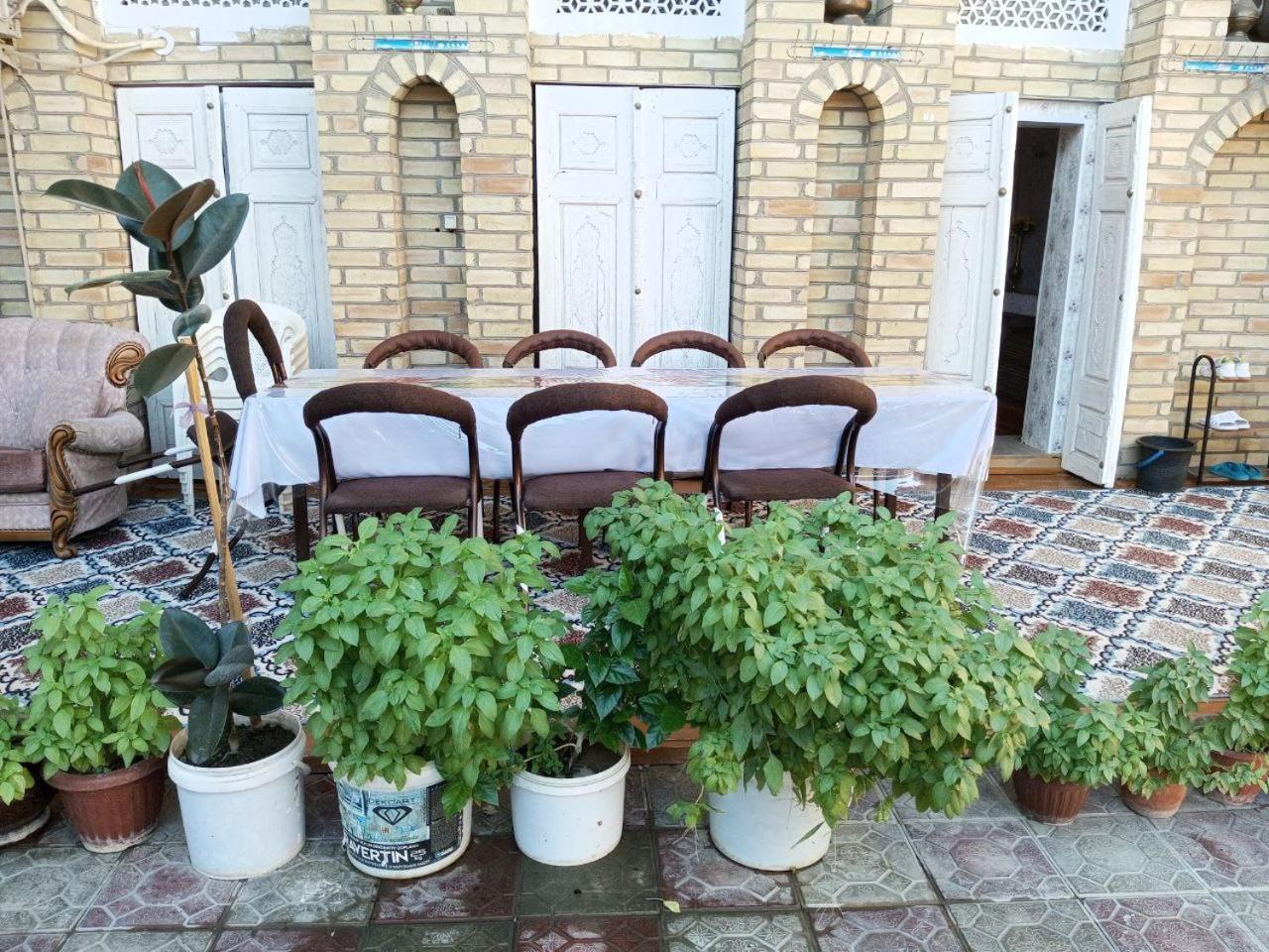 Sohibqiron Boutique Ξενοδοχείο Μπουχάρα Εξωτερικό φωτογραφία